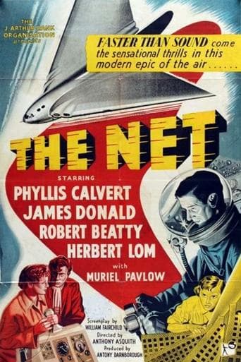 Movie poster for The Net