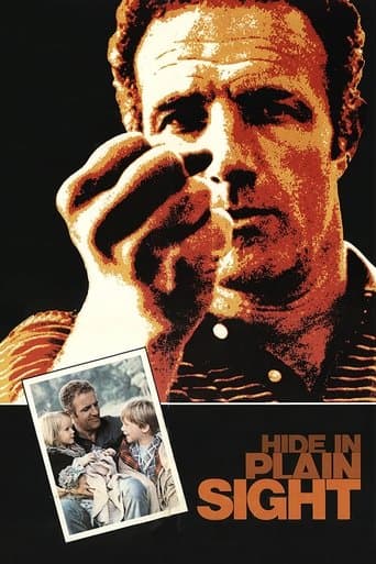 Movie poster for Hide in Plain Sight
