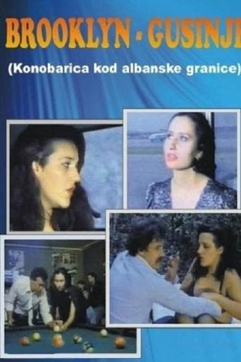 Movie poster for Brooklyn - Gusinje