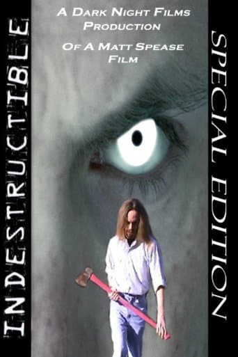 Movie poster for Indestructible