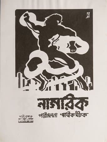 Movie poster for The Citizen