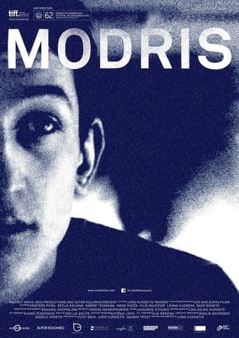 Movie poster for Modris