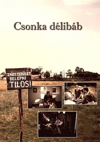 Movie poster for Csonka délibáb