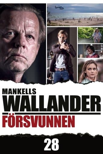 Movie poster for Wallander: Missing