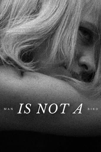 Movie poster for Man Is Not a Bird
