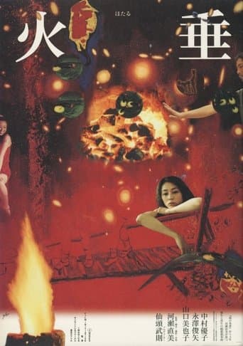 Movie poster for Firefly