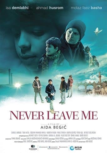 Movie poster for Never Leave Me