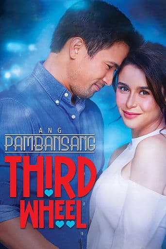 Movie poster for The National Third Wheel