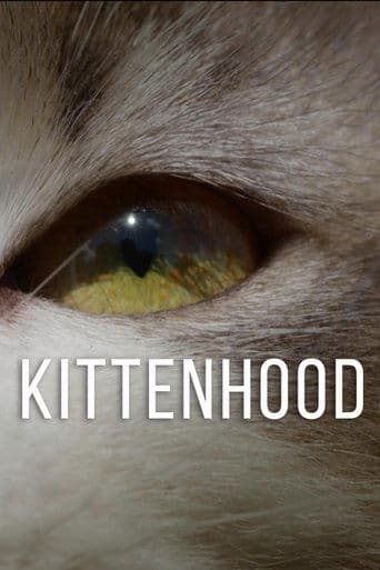 Movie poster for Kittenhood