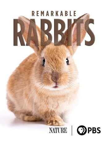 Movie poster for Remarkable Rabbits