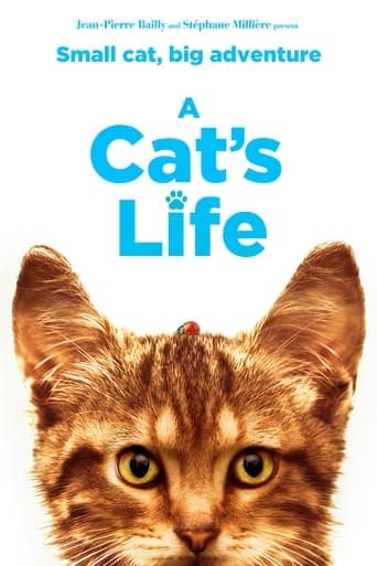 Movie poster for A Cat's Life