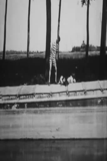 Movie poster for Impossible To Get a Plunge