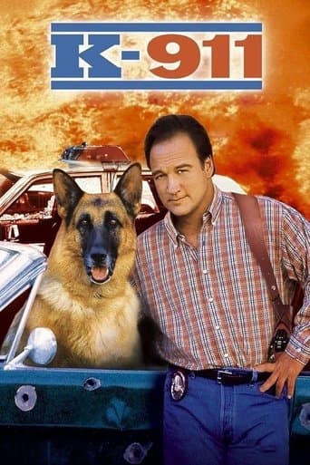 Movie poster for K-911