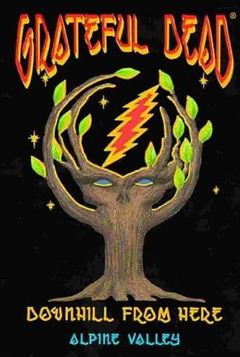 Movie poster for Grateful Dead: Downhill from Here