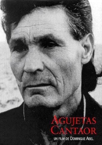 Movie poster for Agujetas Cantaor