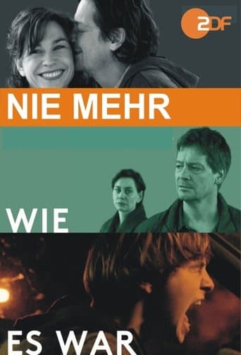 Movie poster for Nie mehr wie es war