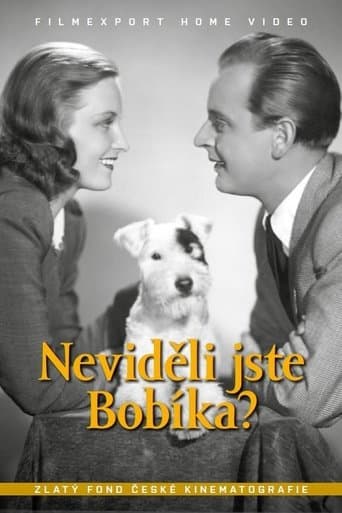 Movie poster for Neviděli jste Bobíka?