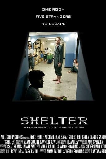 Movie poster for Shelter