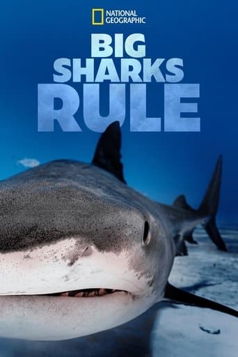 Movie poster for Big Sharks Rule