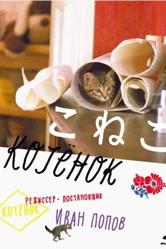 Movie poster for The Little Cat