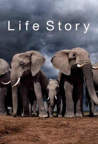 Movie poster for Life Story