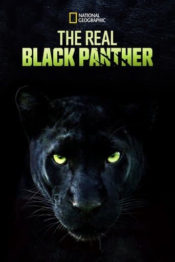 Movie poster for The Real Black Panther