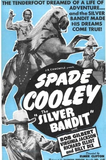 Movie poster for The Silver Bandit
