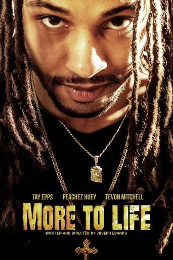 Movie poster for More to Life