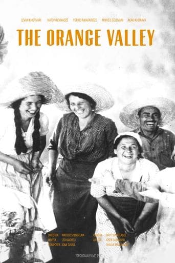 Movie poster for The Orange Valley