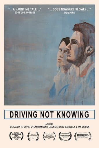 Movie poster for Driving Not Knowing