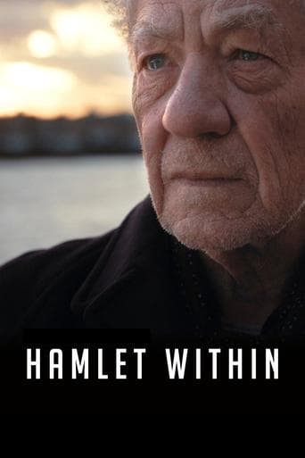 Movie poster for Hamlet Within