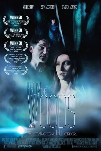 Movie poster for From The Woods