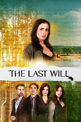 Movie poster for The Last Will
