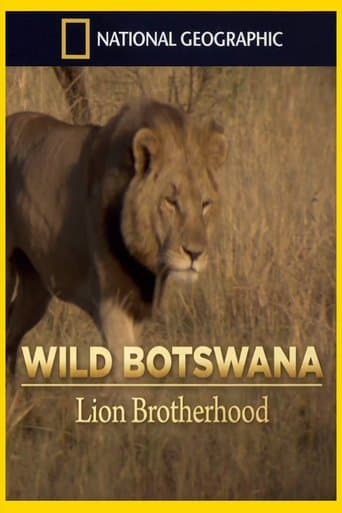 Movie poster for Lion Brotherhood
