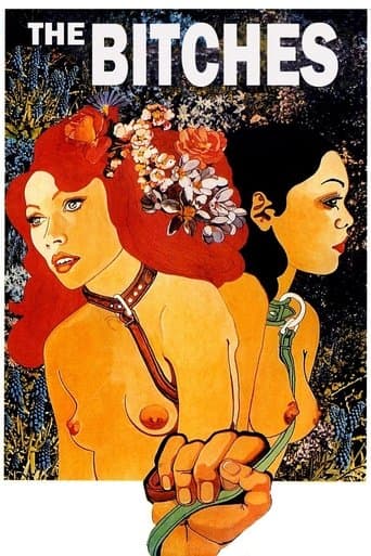 Movie poster for The Bitches