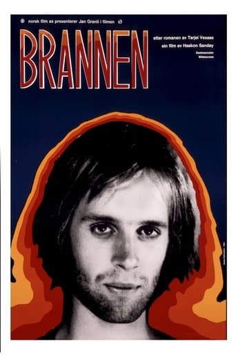 Movie poster for The Fire