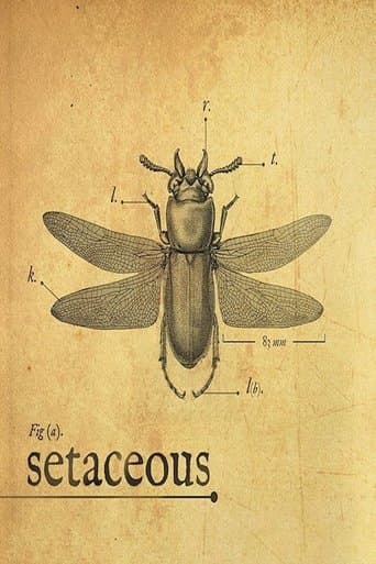 Movie poster for Setaceous