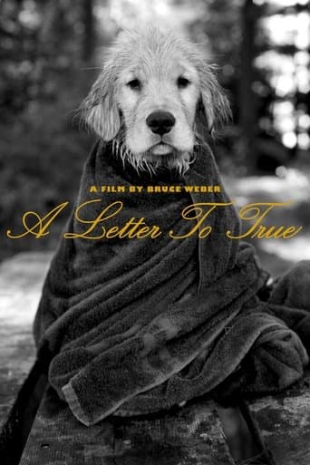 Movie poster for A Letter to True