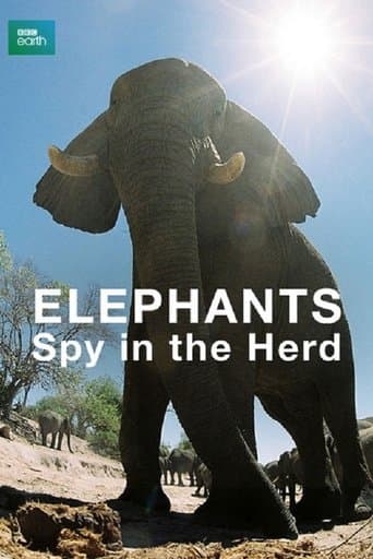 Movie poster for Elephants: Spy in the Herd