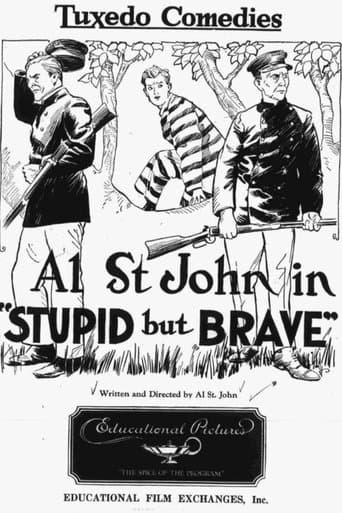 Movie poster for Stupid, but Brave