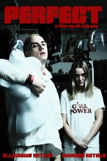 Movie poster for Perfect