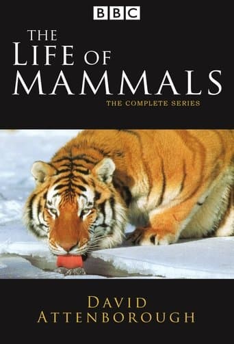 Movie poster for The Life of Mammals