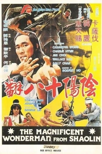 Movie poster for Magnificent Wonderman