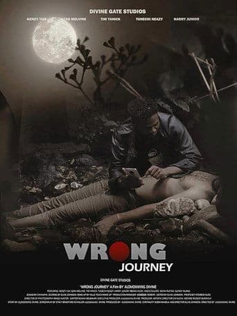 Movie poster for Wrong Journey