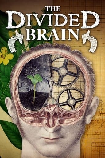 Movie poster for The Divided Brain