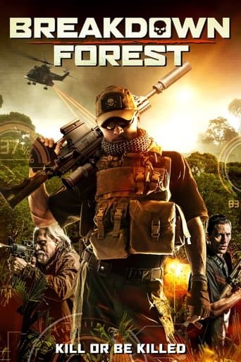 Movie poster for Breakdown Forest