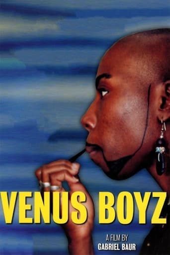 Movie poster for Venus Boyz