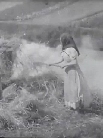 Movie poster for Brûleuses d'herbes
