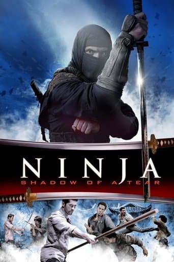 Movie poster for Ninja: Shadow of a Tear