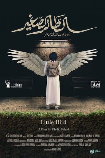 Movie poster for Little Bird
